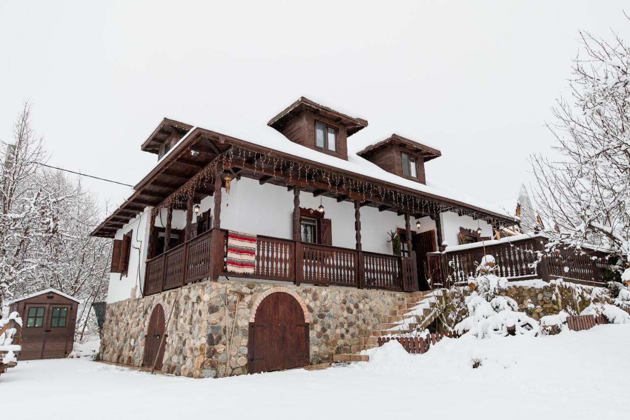 Casa Cu Cerdac Villa Nucşoara Buitenkant foto