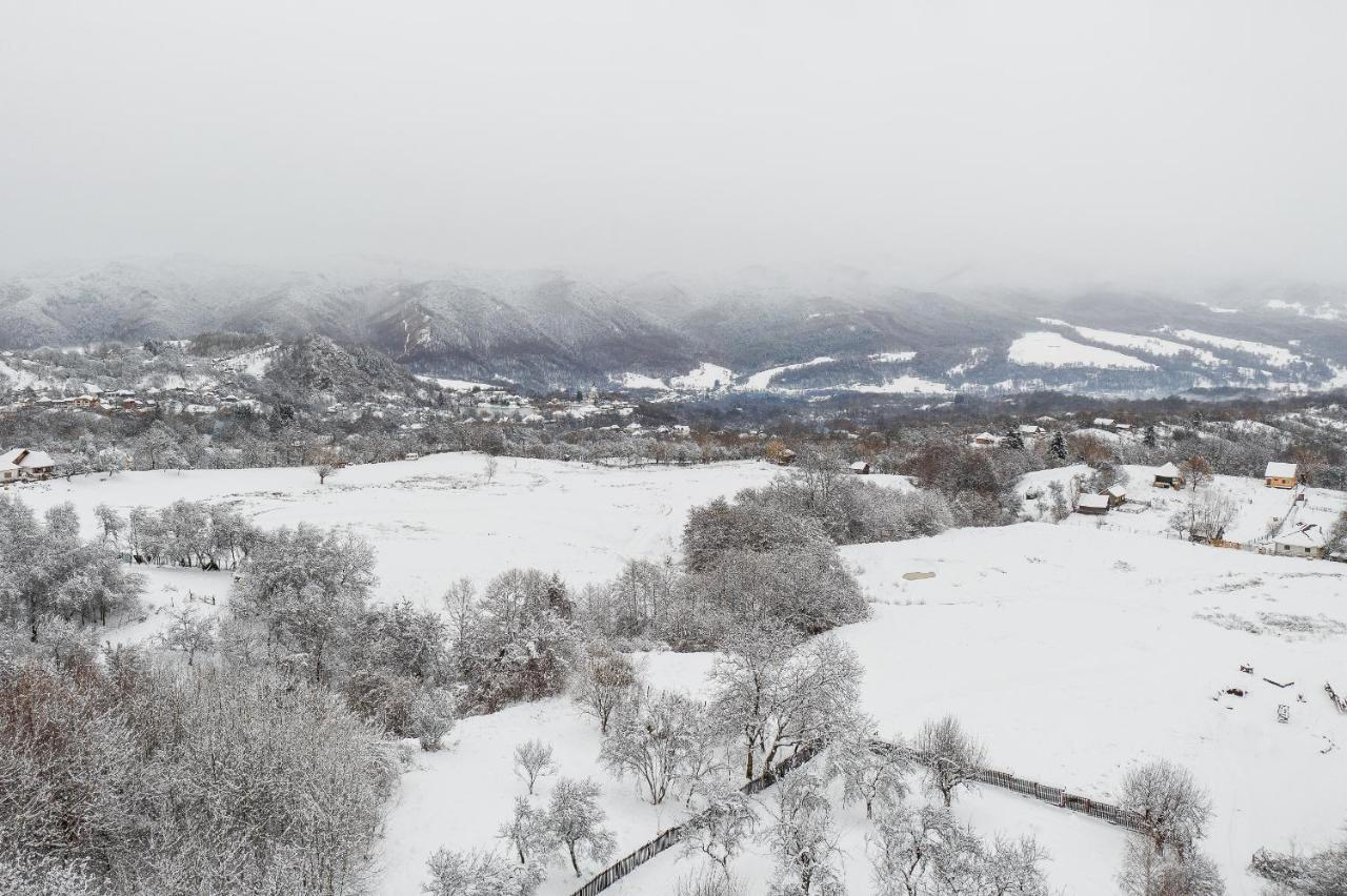 Casa Cu Cerdac Villa Nucşoara Buitenkant foto