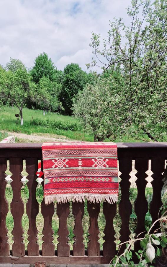 Casa Cu Cerdac Villa Nucşoara Buitenkant foto